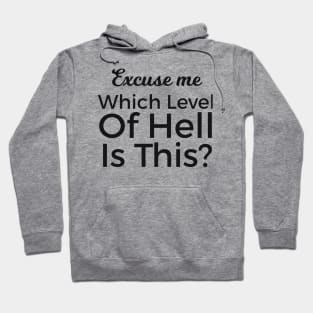 Excuse Me Which Level Of Hell Is This? Hoodie